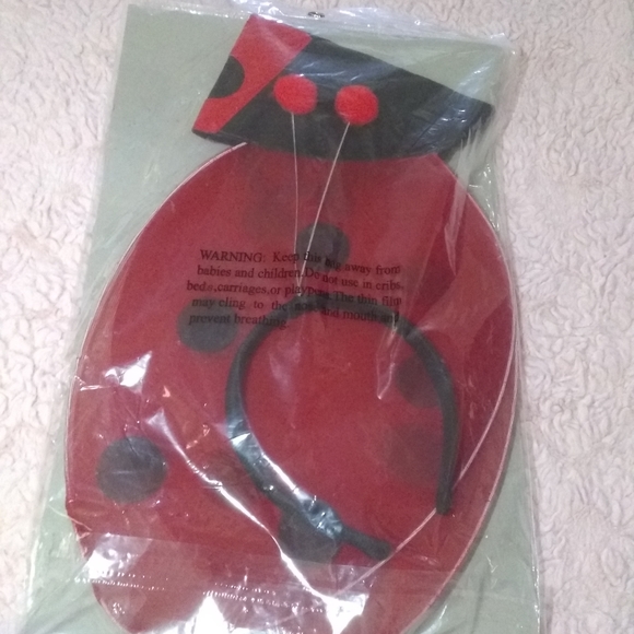 Ladybug wings set - Picture 2 of 6